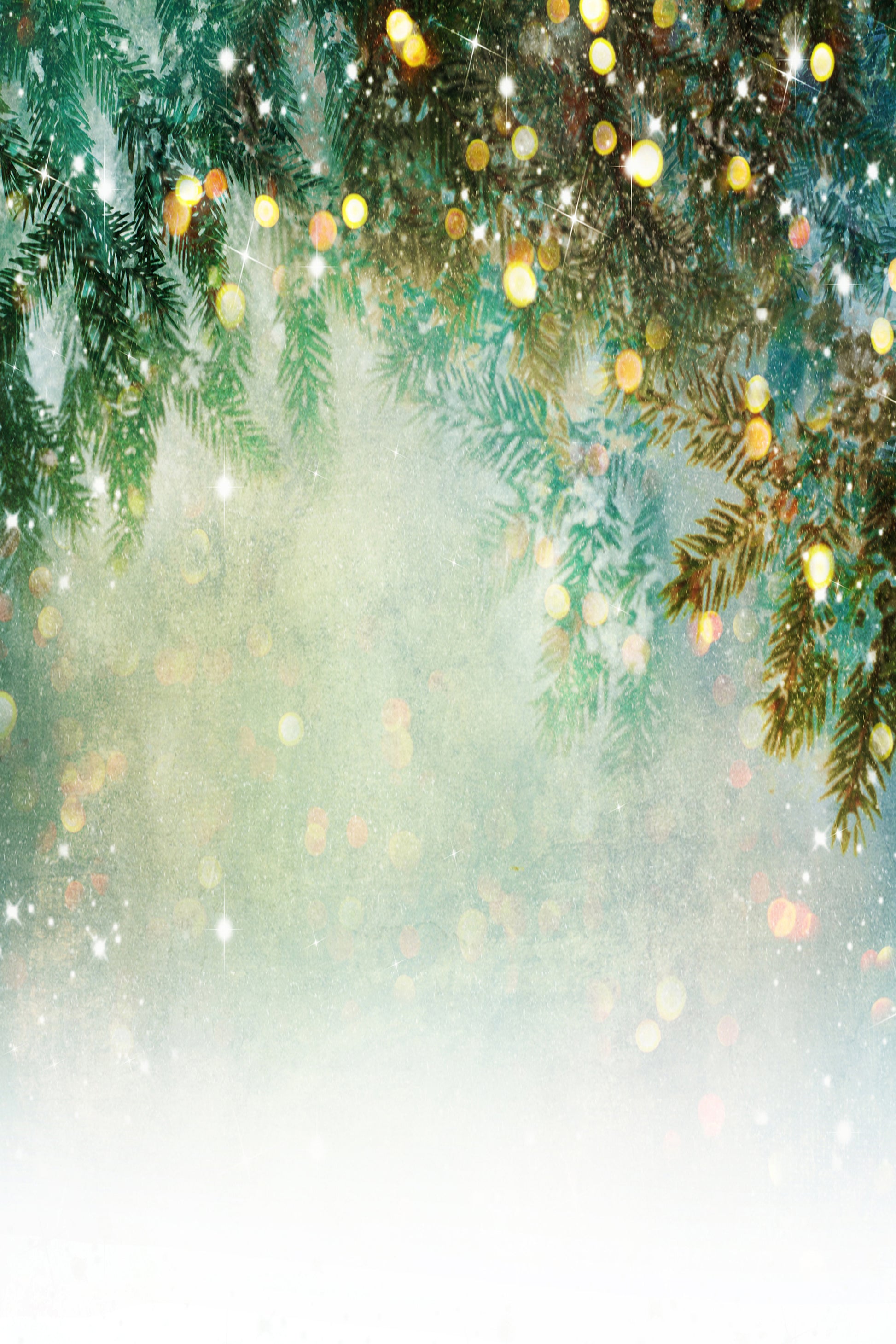 Kate 写真撮影のためのファンタジークリスマス松の木の枝冬ボケ背景