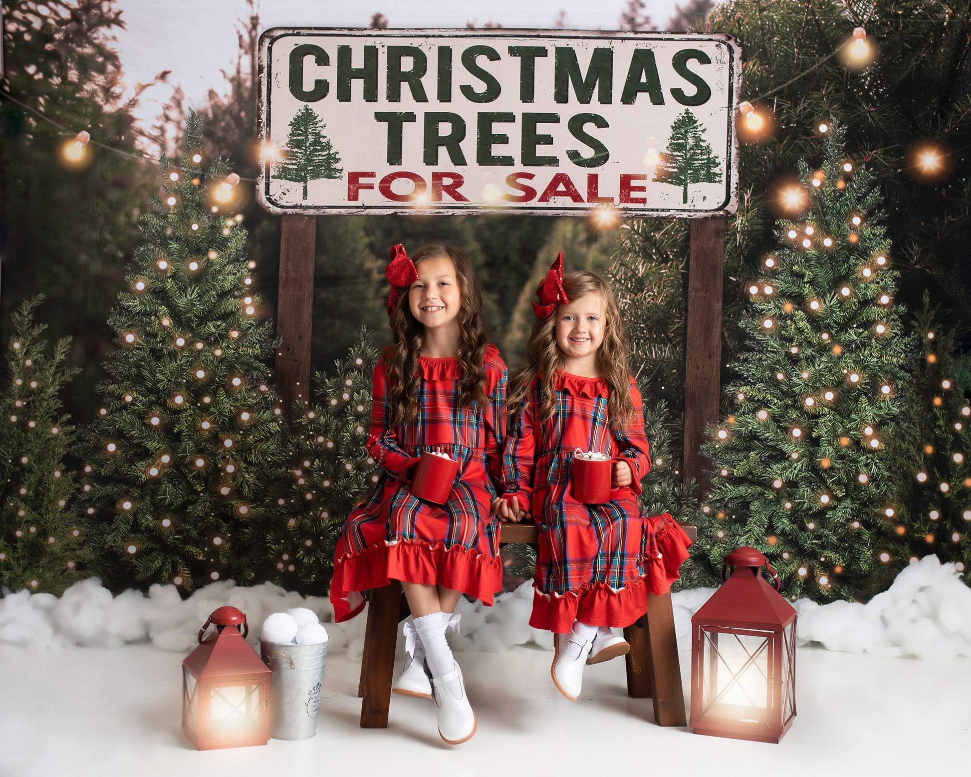 Kate 写真撮影のためのクリスマスの農場の木の背景
