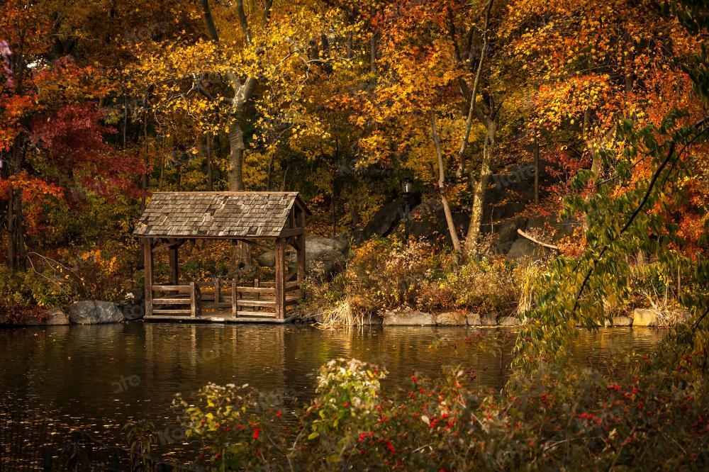 写真撮影のためのkateつの秋の湖の背景の森