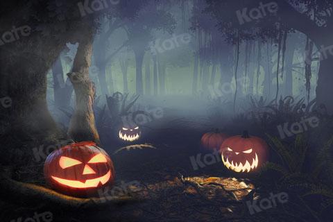 写真撮影のためのkateハロウィーンのカボチャの背景の森の夜