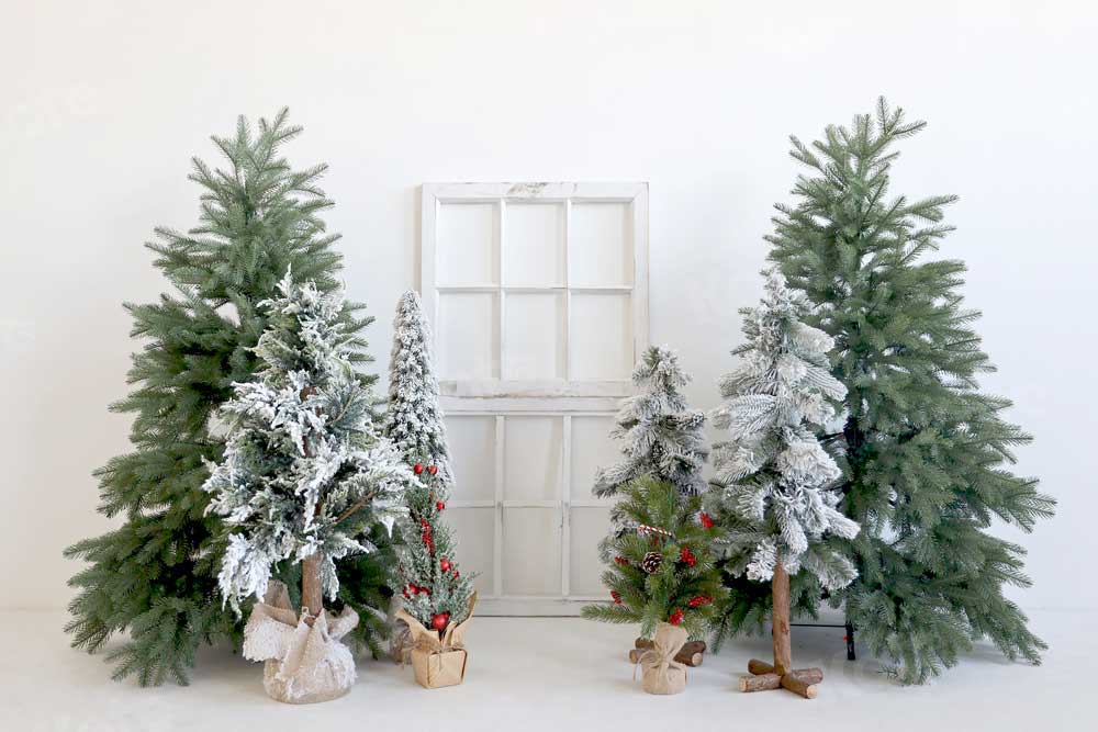 写真撮影のためのkateクリスマス冬の背景の木白