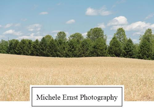 Michele Ernst Photography