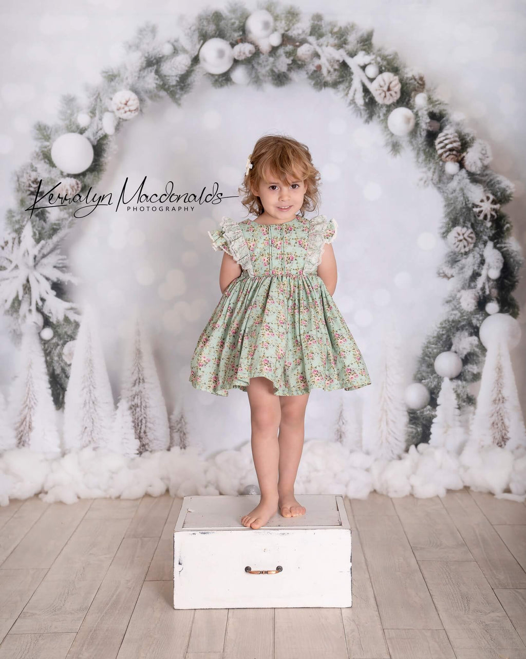Kate 白 クリスマス ボケ味 誕生日 背景 写真撮影用