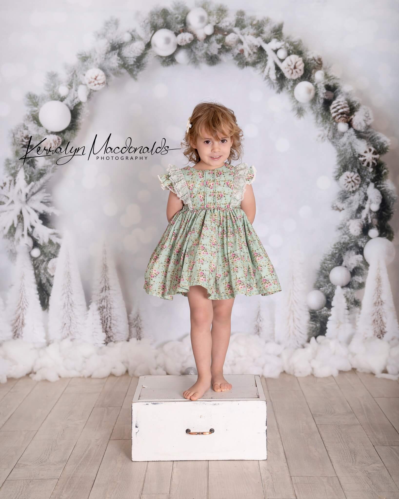 Kate 白 クリスマス ボケ味 誕生日 背景 写真撮影用