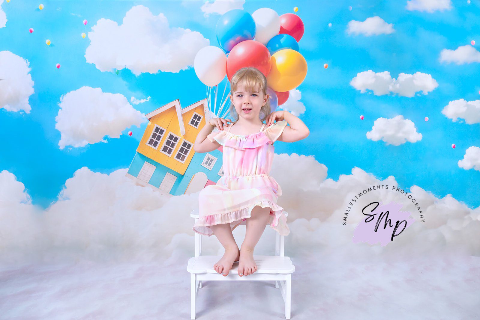 Kate トラベルファンタジー 空飛ぶ家 バルーン プリント背景 Emetselchデザイン