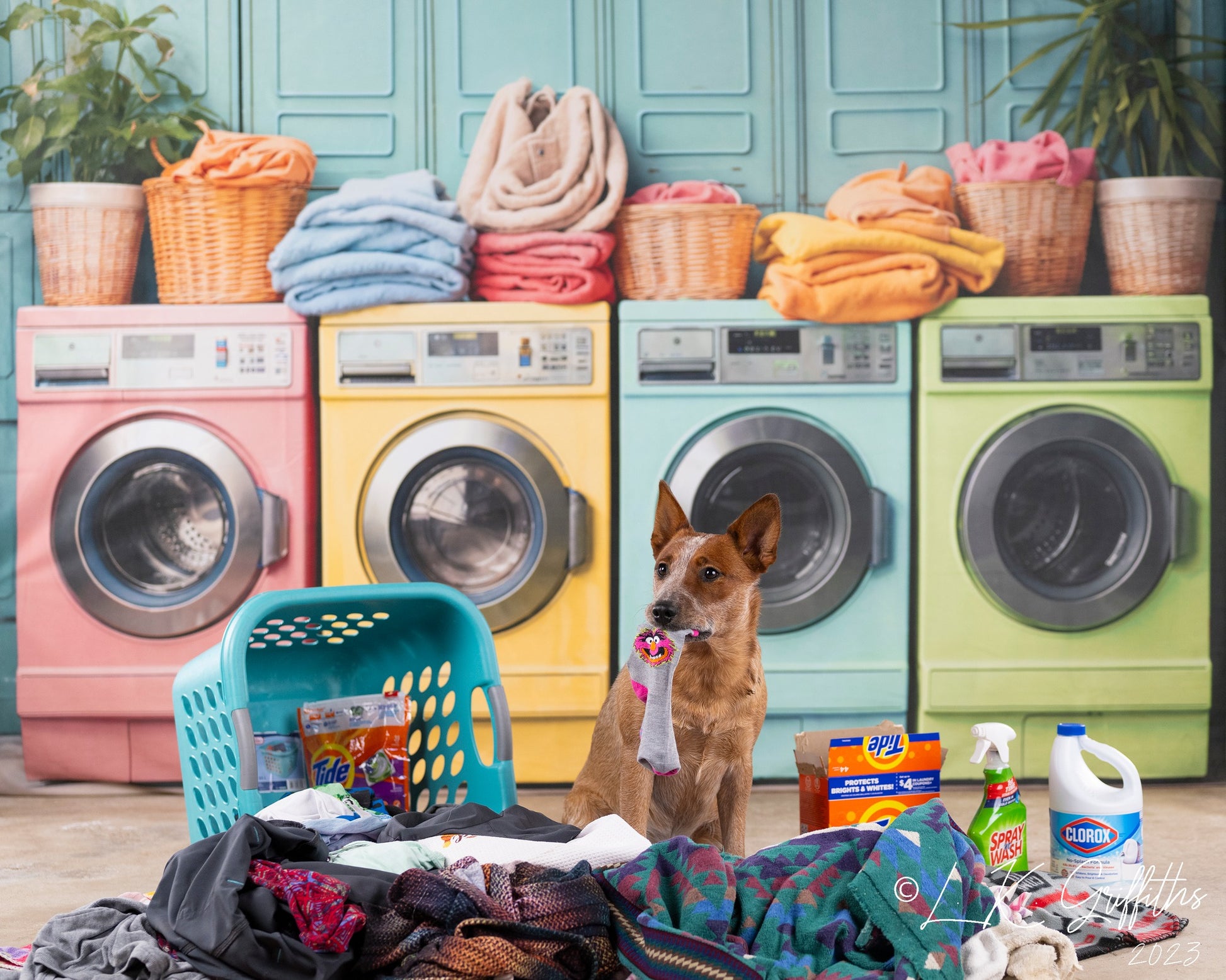 Kate 洗濯の日 カラフルな洗濯機の背景 Chain Photographyのデザイン