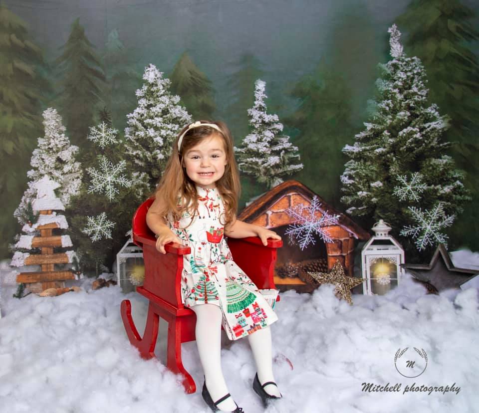 Kate クリスマスの背景雪の森Jia Chan設計