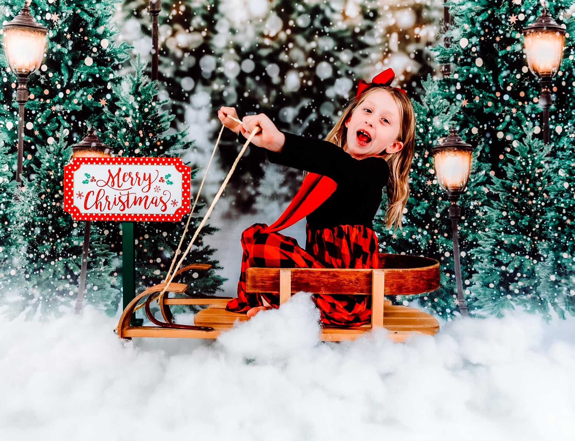 Kate 写真撮影のためのクリスマスの雪の森のライトの背景