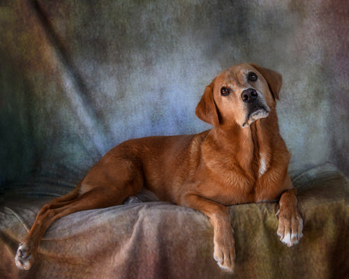 Kate さびた鉄のような肖像画のような抽象的なテクスチャ背景