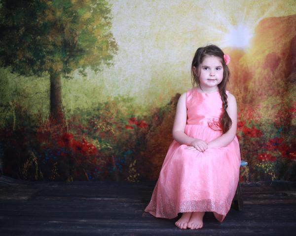 写真撮影のためのKate夏の絵画ヴィンテージ日の出背景