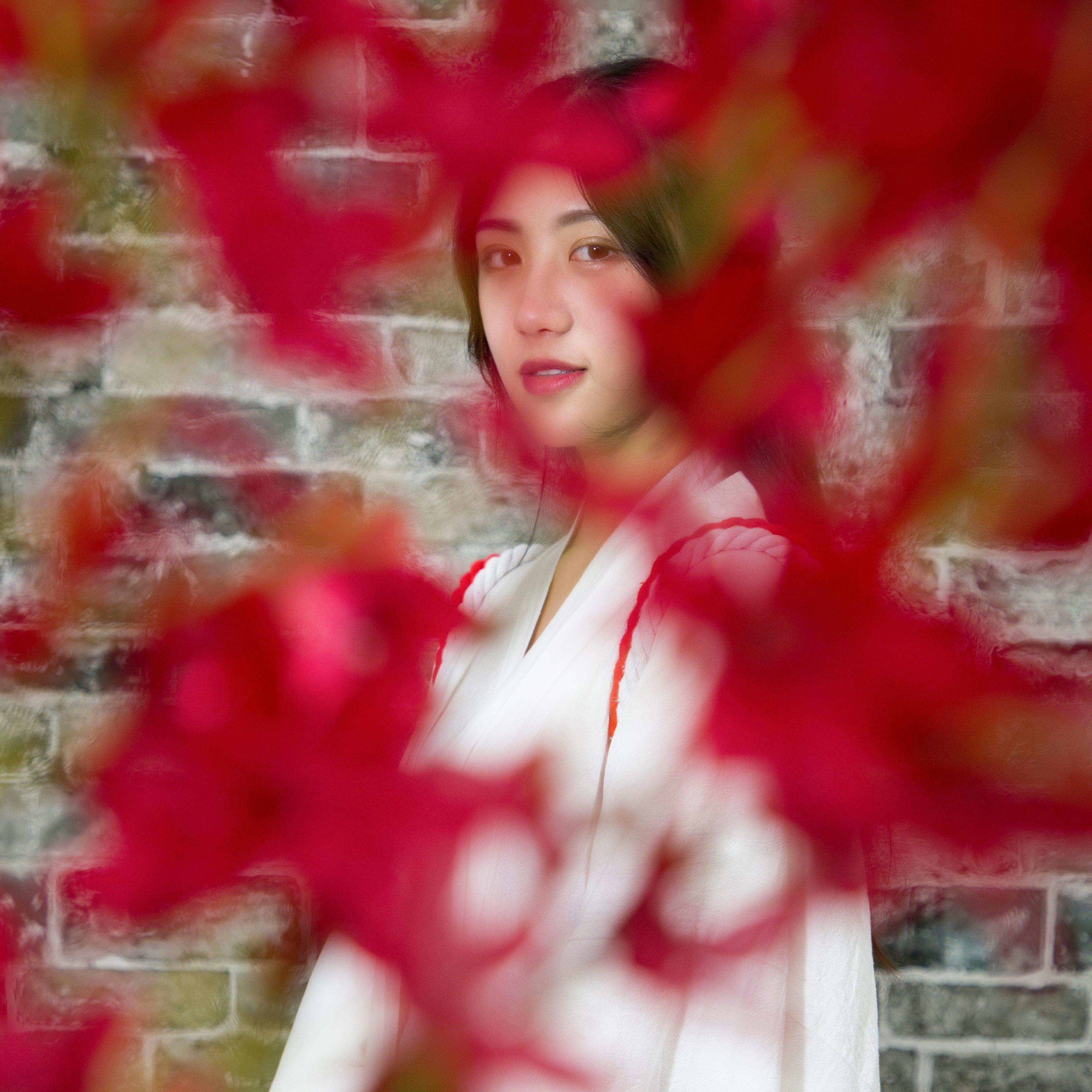 Kate ダークトーンのレンガの壁の背景Emetselch Photography