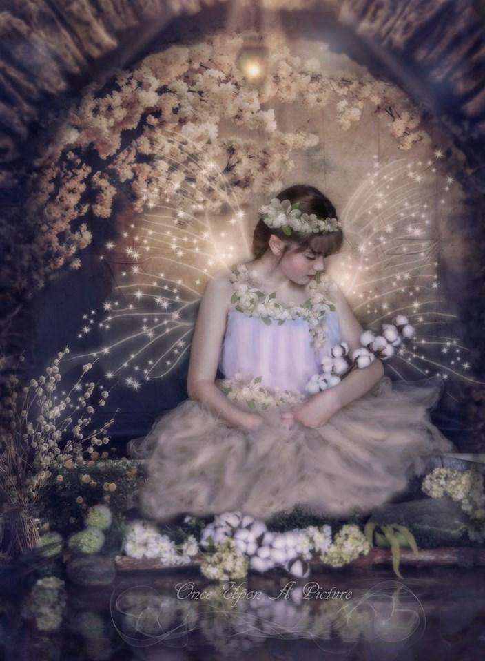 Kate 写真撮影のための花の背景を持つ抽象的な背景