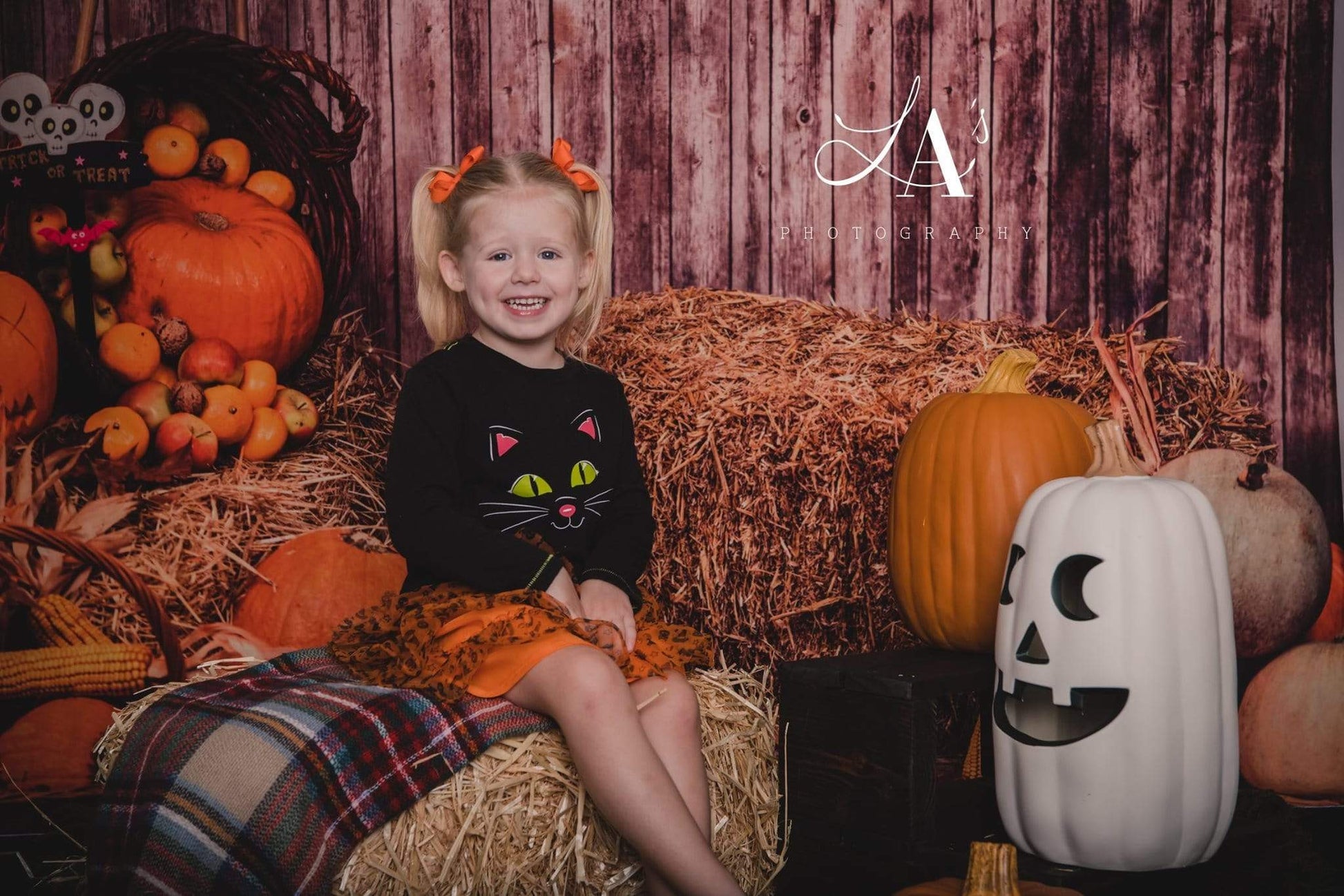 Kate ハロウィーン秋カボチャ草山ファーム背景写真