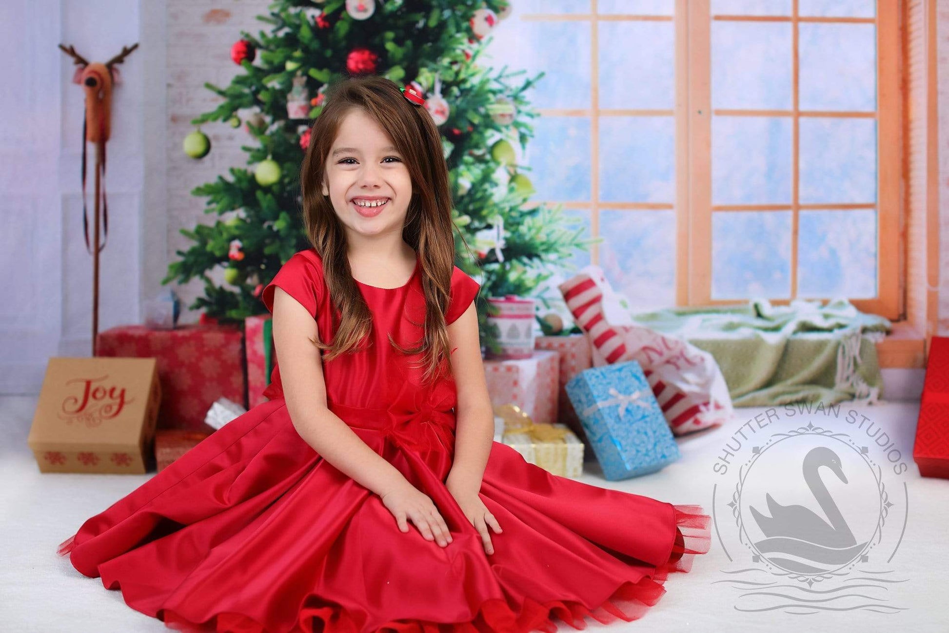 Kate クリスマスツリーウィンドウの写真撮影の背景