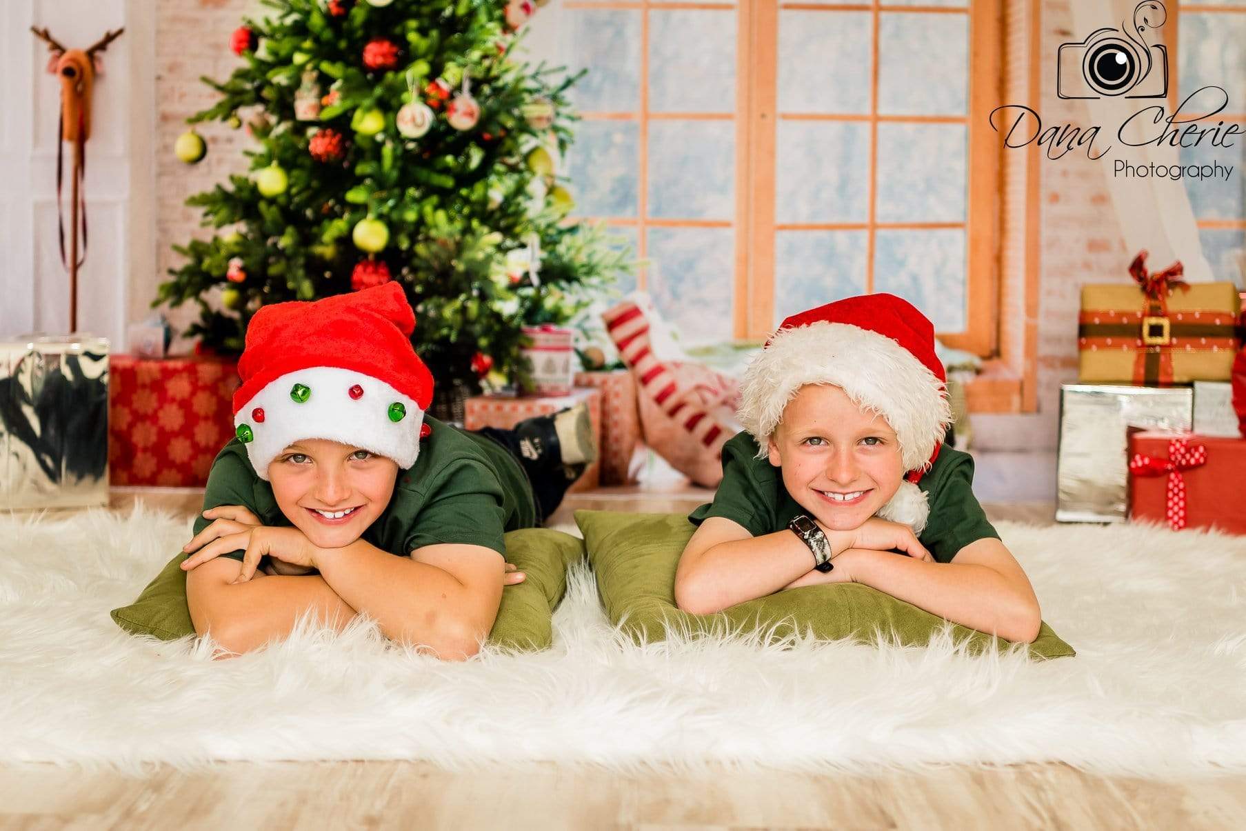 Kate クリスマスツリーウィンドウの写真撮影の背景