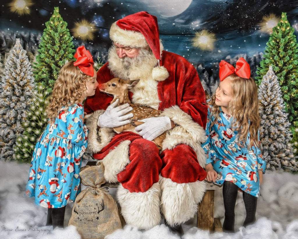 Kate クリスマスツリーの農場の写真撮影の背景