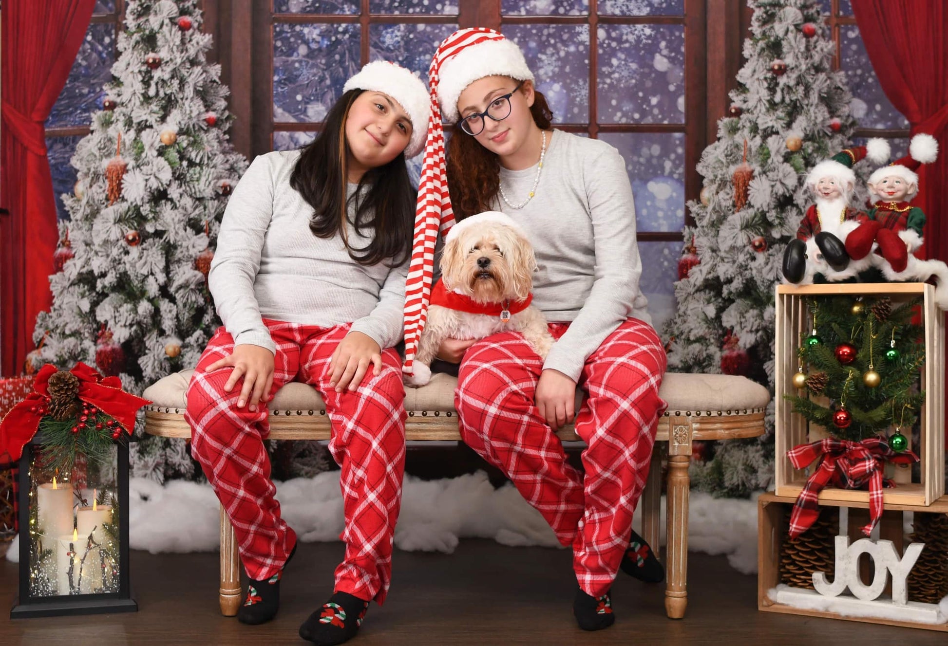 Kate冬の雪のクリスマスウィンドウの背景写真家Chain