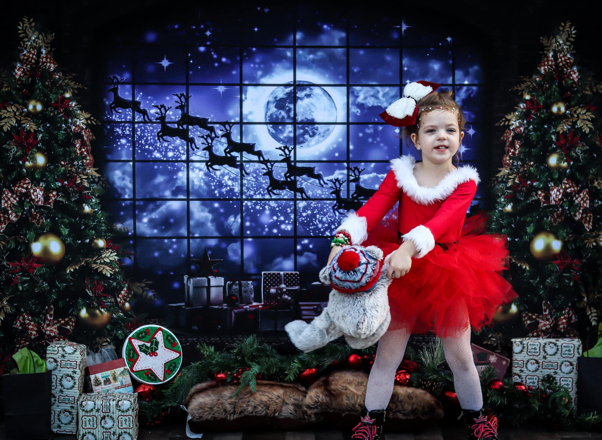 kate写真撮影のためのクリスマスの窓そりの背景エルク
