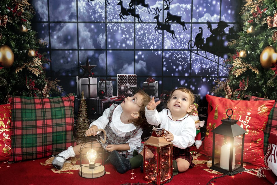 kate写真撮影のためのクリスマスの窓そりの背景エルク