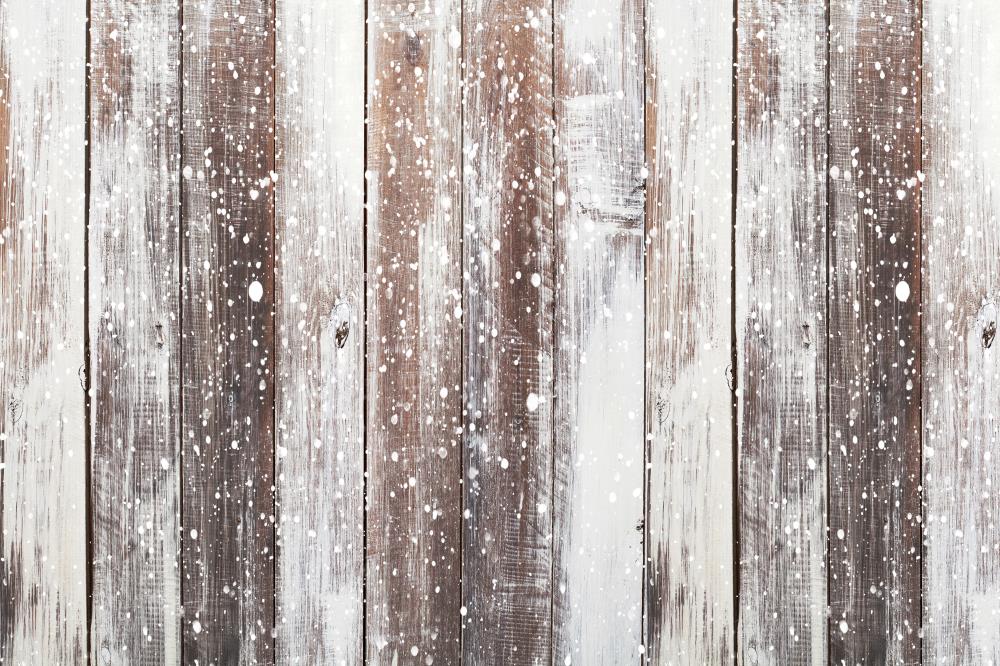 Kate雪のクリスマスを背景に冬の風景の木