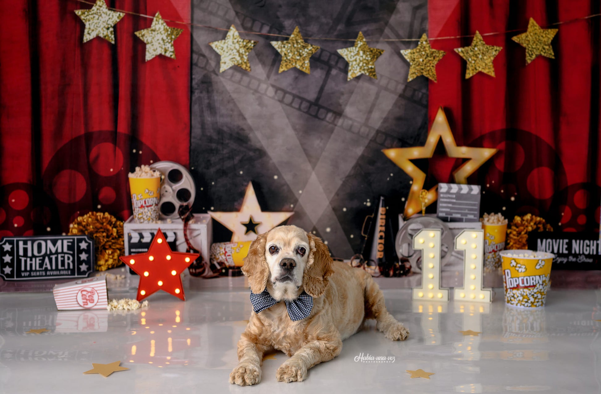 Kate Mandy Ringe Photography 誕生日会映画の夜の背景赤いカーテン