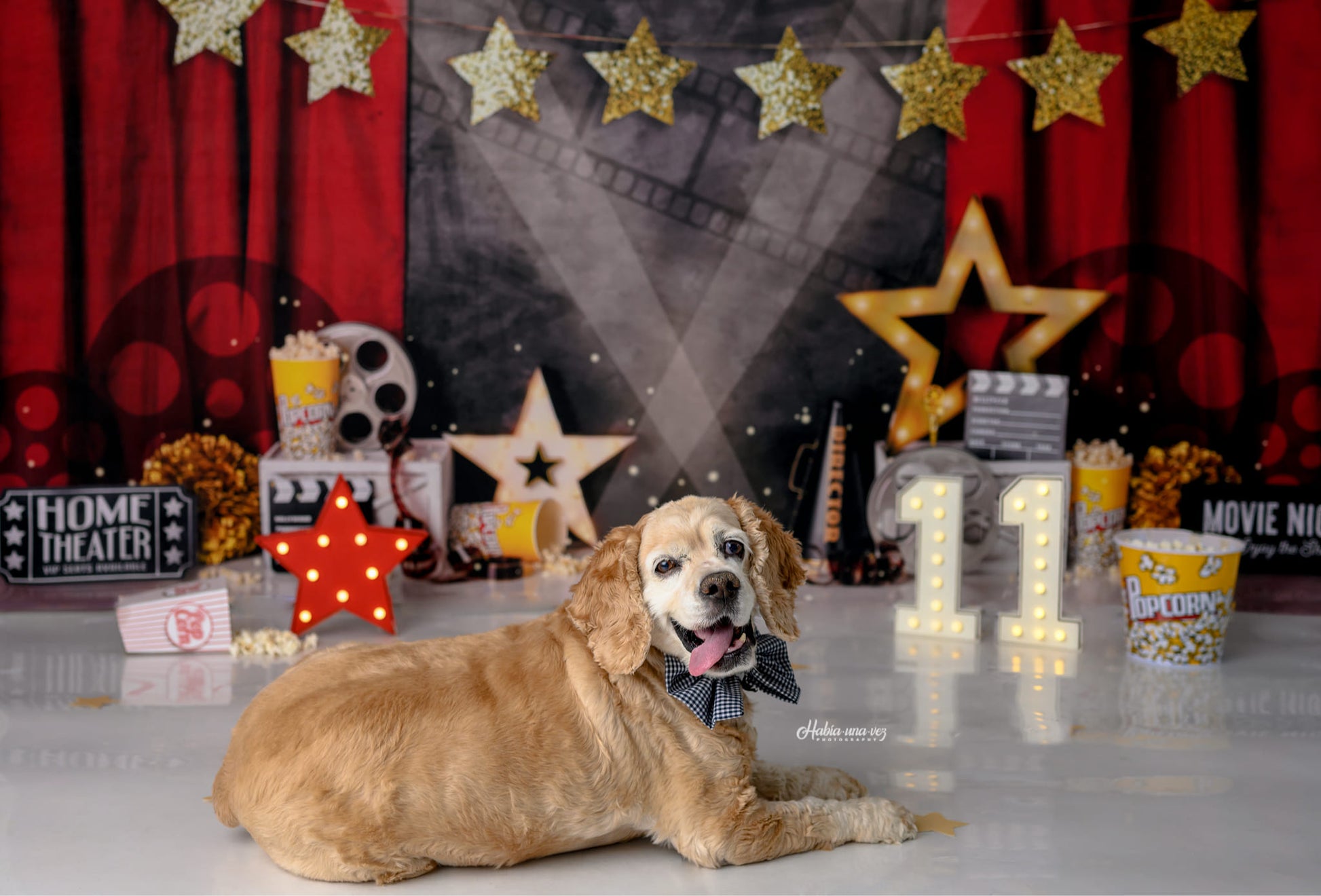 Kate Mandy Ringe Photography 誕生日会映画の夜の背景赤いカーテン