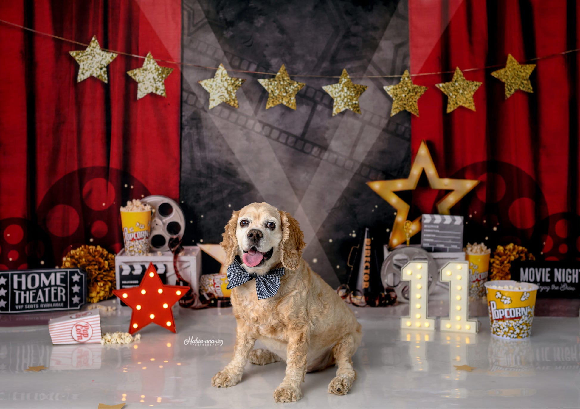 Kate Mandy Ringe Photography 誕生日会映画の夜の背景赤いカーテン