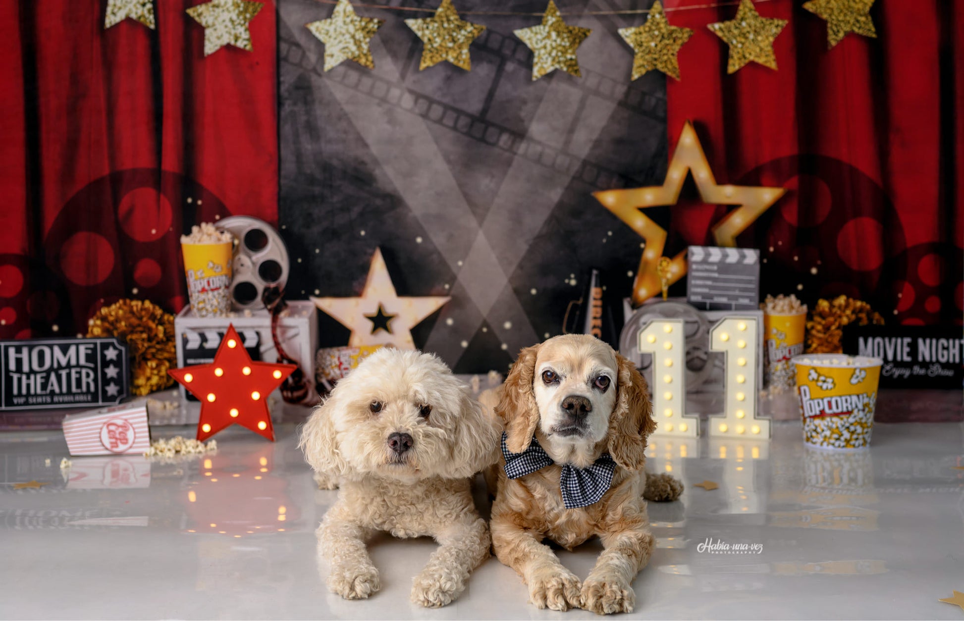 Kate Mandy Ringe Photography 誕生日会映画の夜の背景赤いカーテン