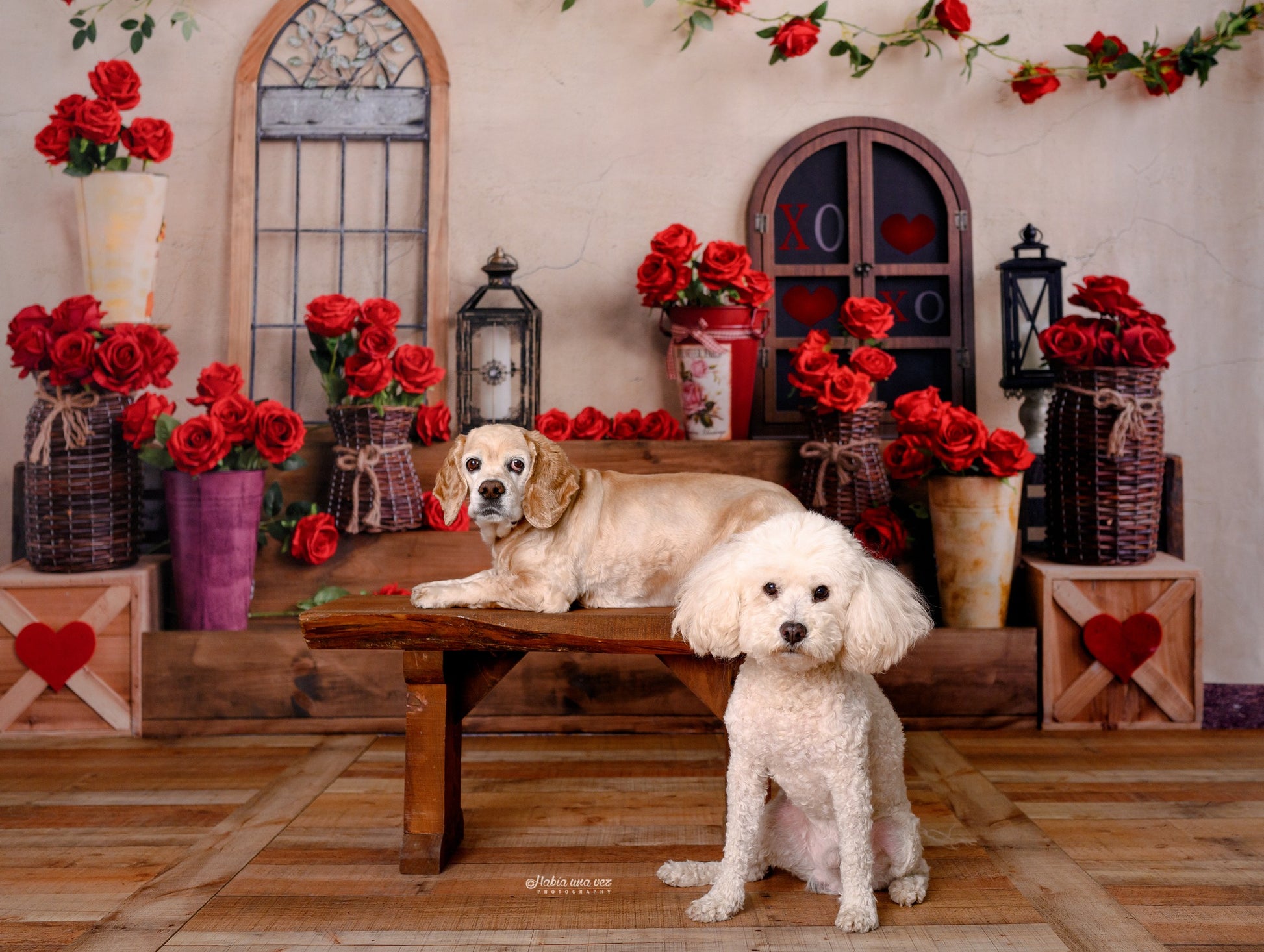 Kate ロマンチックなバレンタインデーの背景のバラのステップEmetselch設計