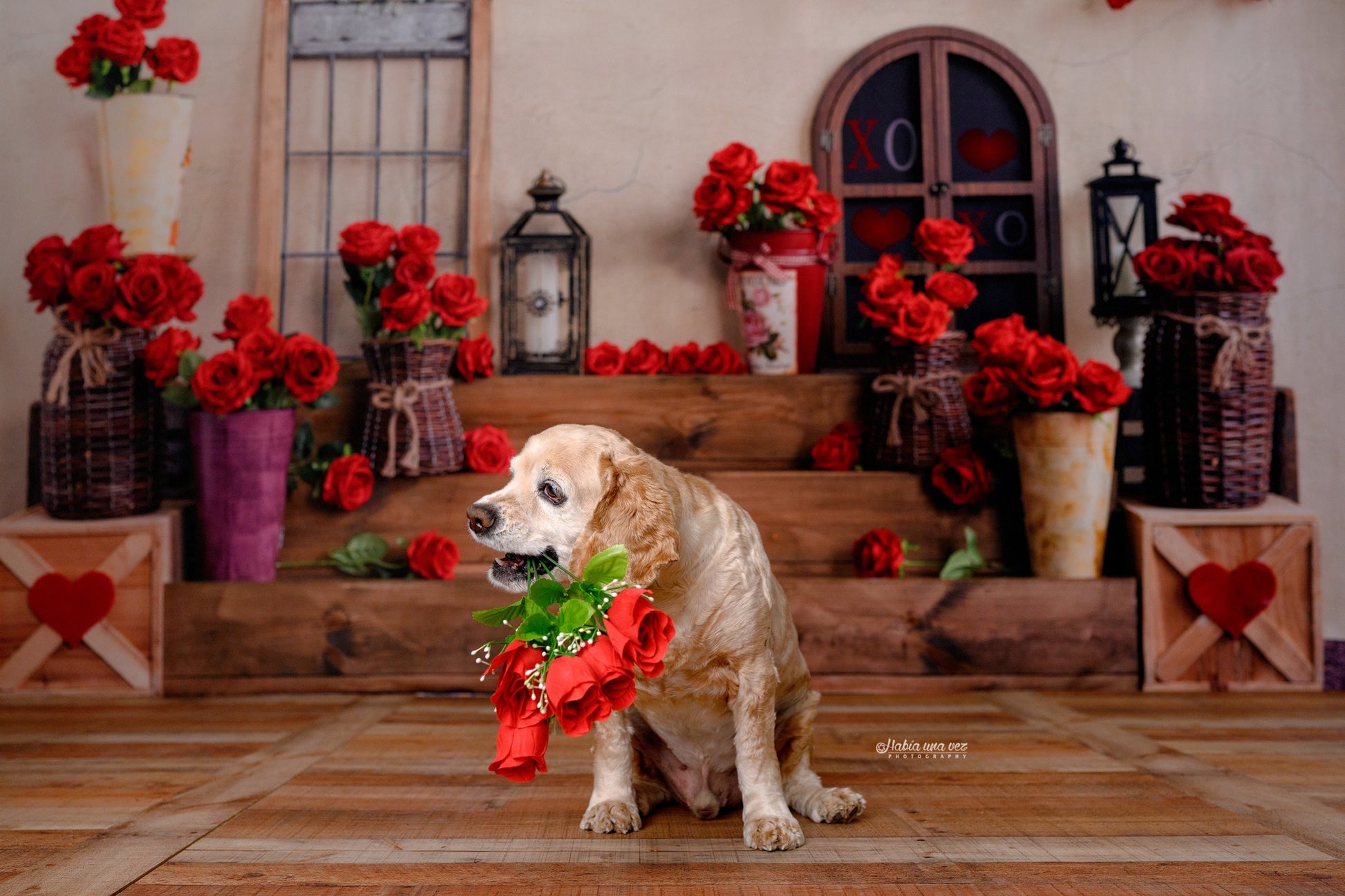 Kate ロマンチックなバレンタインデーの背景のバラのステップEmetselch設計