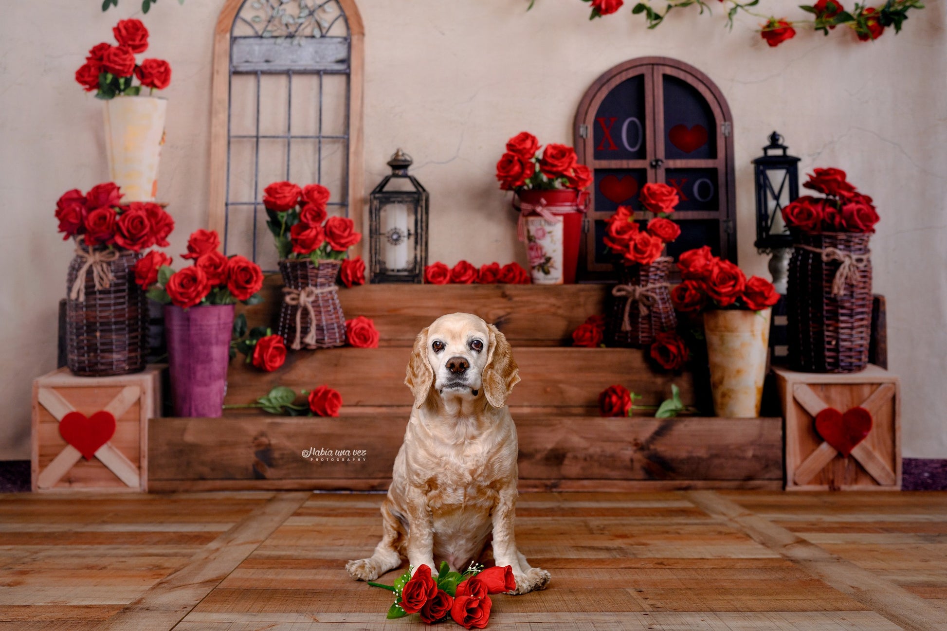 Kate ロマンチックなバレンタインデーの背景のバラのステップEmetselch設計