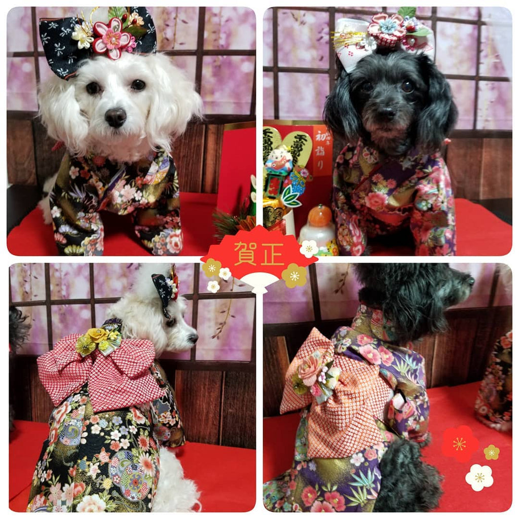 Kate 春の花の背景屋内ウィンドウカーテン背景Chain Photography設計