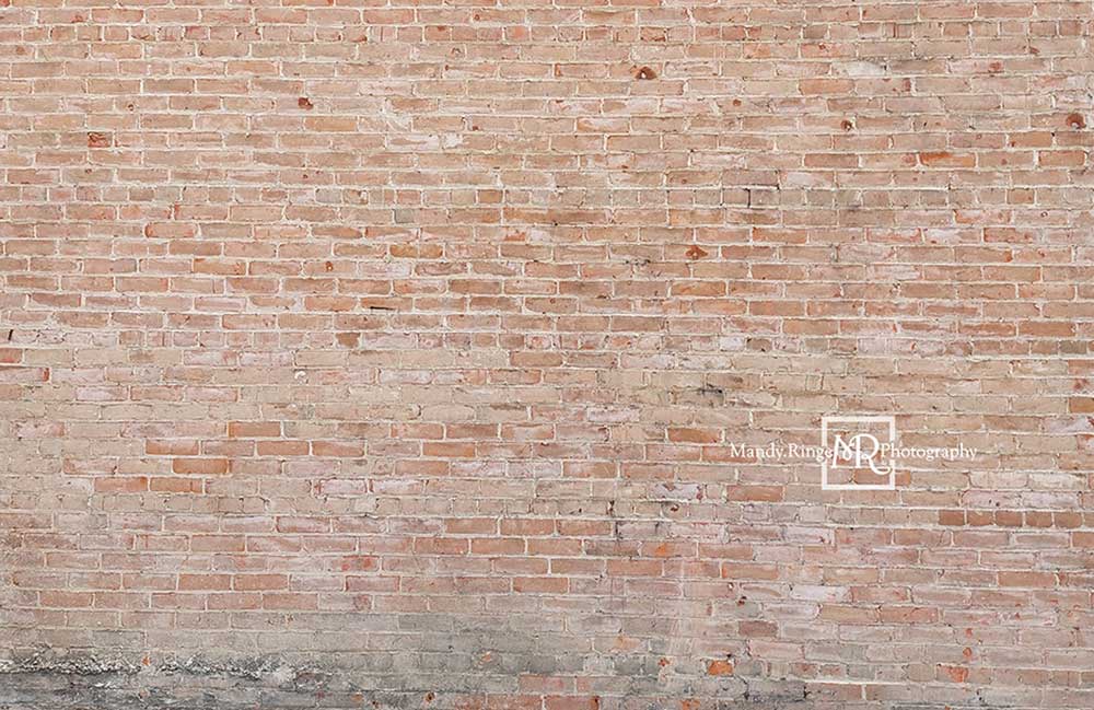 Kate 光の色あせたレンガの背景Mandy Ringe設計