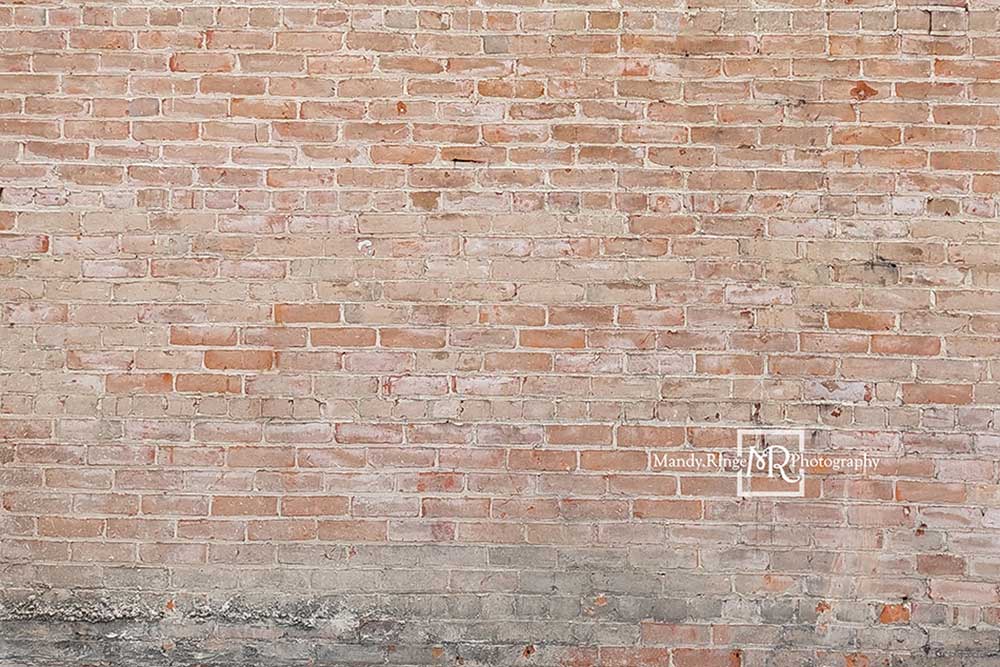Kate 光の色あせたレンガの背景Mandy Ringe設計