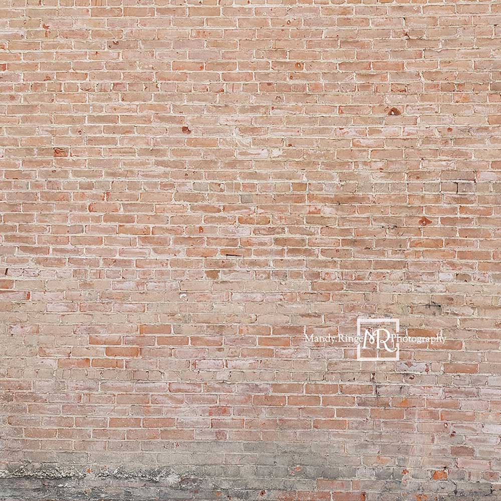 Kate 光の色あせたレンガの背景Mandy Ringe設計