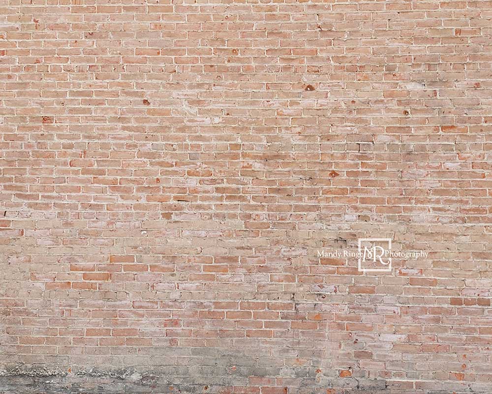 Kate 光の色あせたレンガの背景Mandy Ringe設計