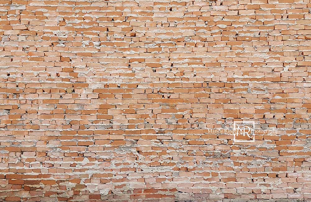 Kate 軽い不均一なレンガ背景Mandy Ringe設計