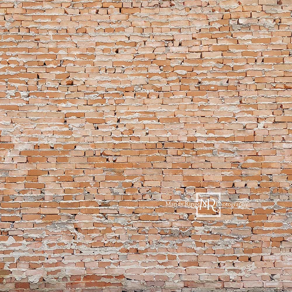 Kate 軽い不均一なレンガ背景Mandy Ringe設計