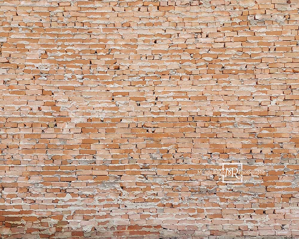 Kate 軽い不均一なレンガ背景Mandy Ringe設計