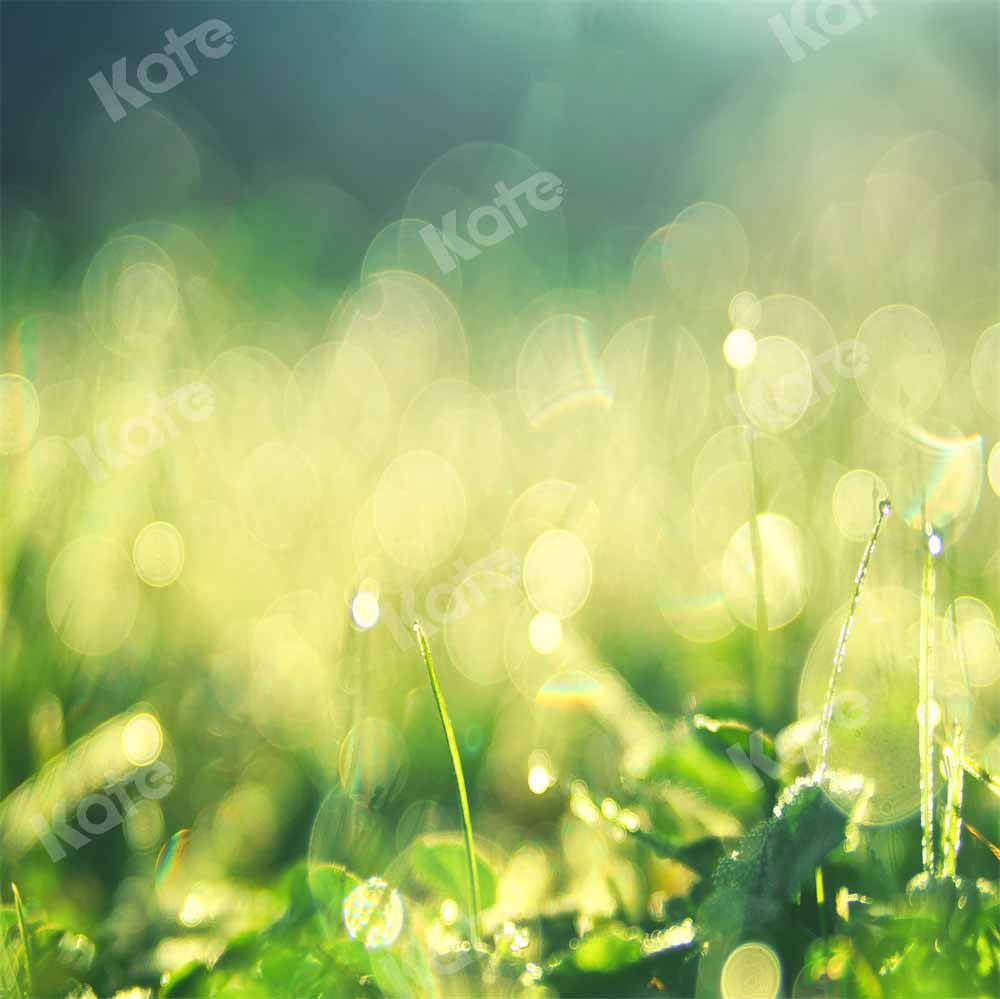 Kate 春の緑の草の軽い穀物のボケ味の背景Chain写真撮影
