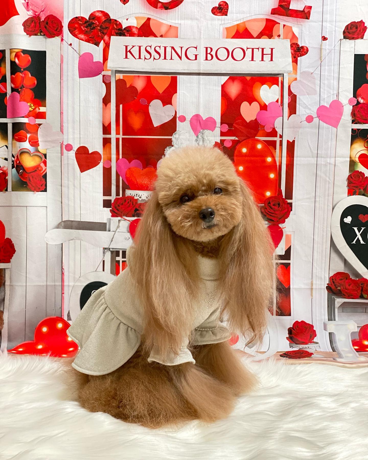 Kate バレンタインデー愛のトロリーの背景  Emetselch設計