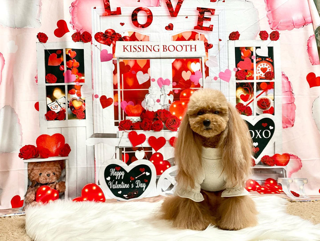 Kate バレンタインデー愛のトロリーの背景  Emetselch設計