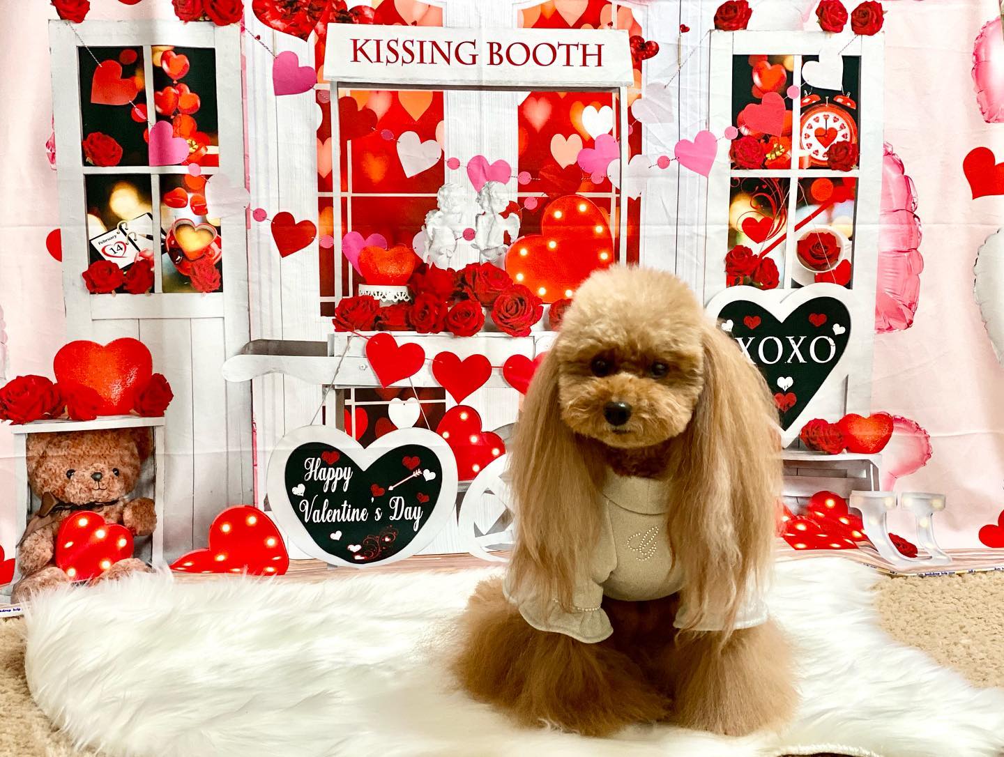 Kate バレンタインデー愛のトロリーの背景  Emetselch設計