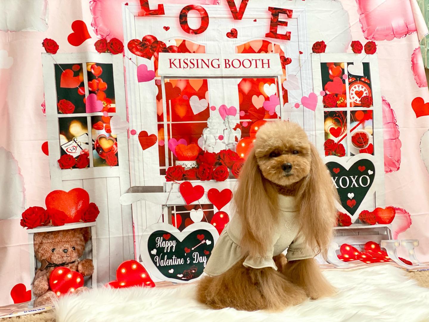 Kate バレンタインデー愛のトロリーの背景  Emetselch設計