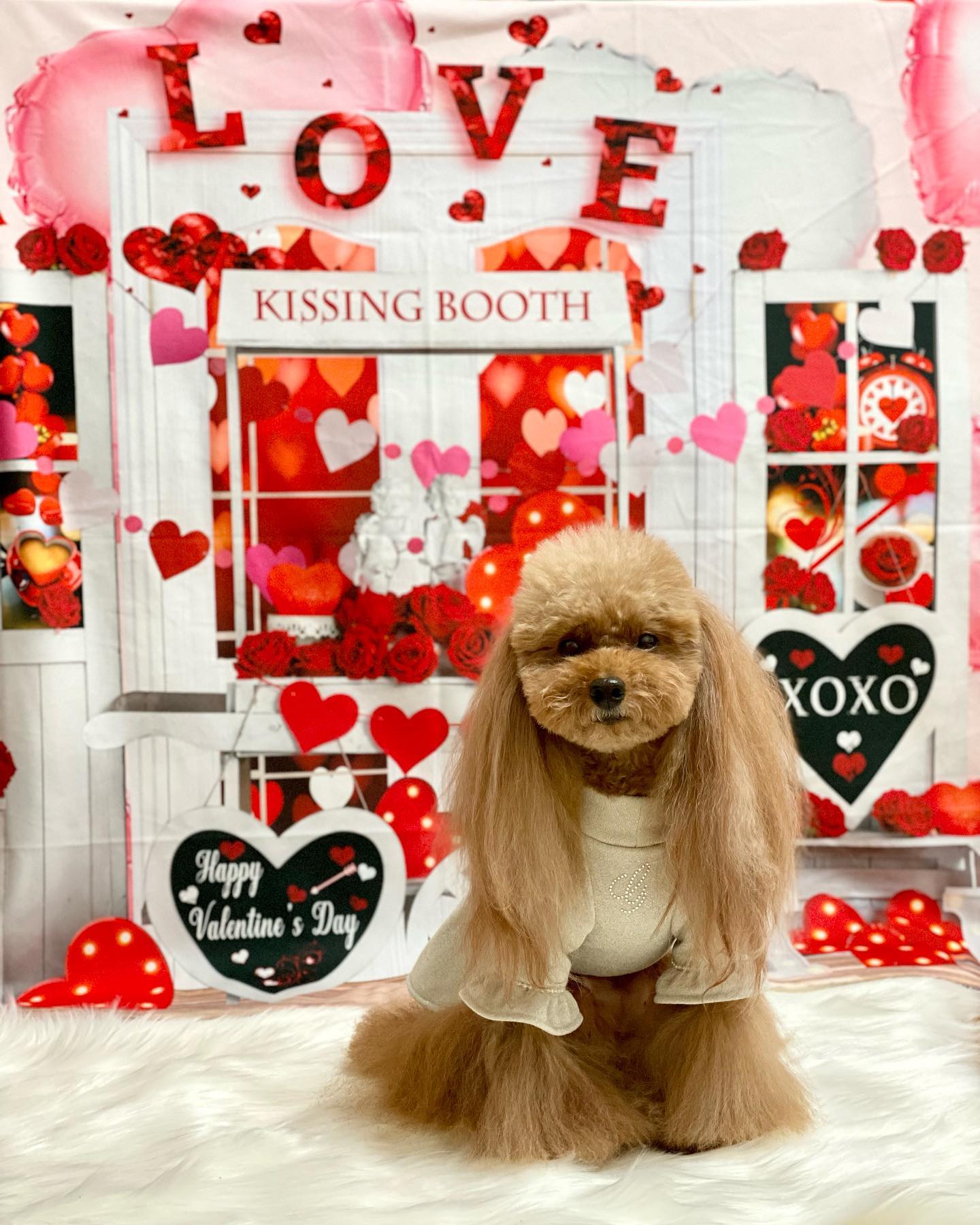 Kate バレンタインデー愛のトロリーの背景  Emetselch設計