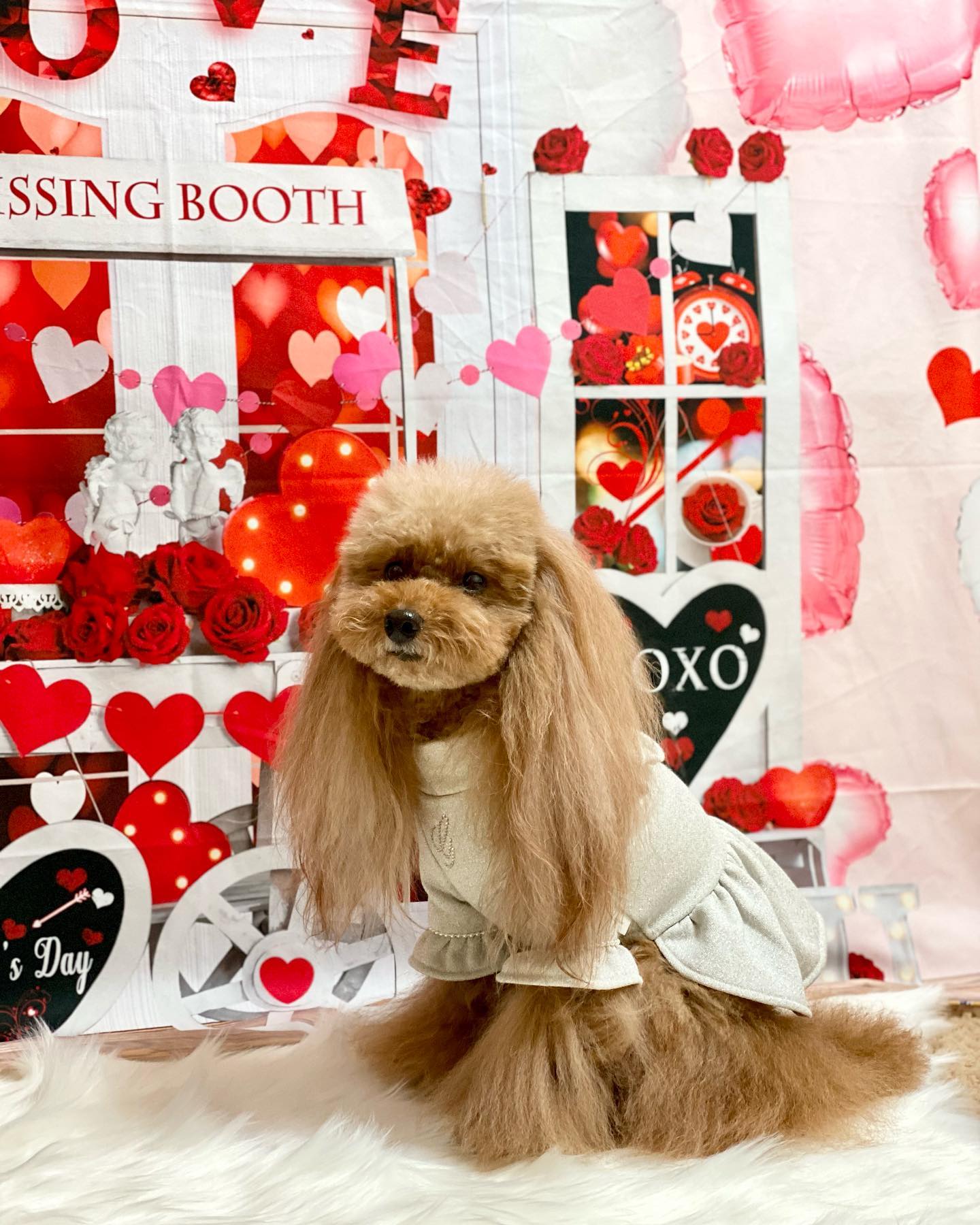 Kate バレンタインデー愛のトロリーの背景  Emetselch設計