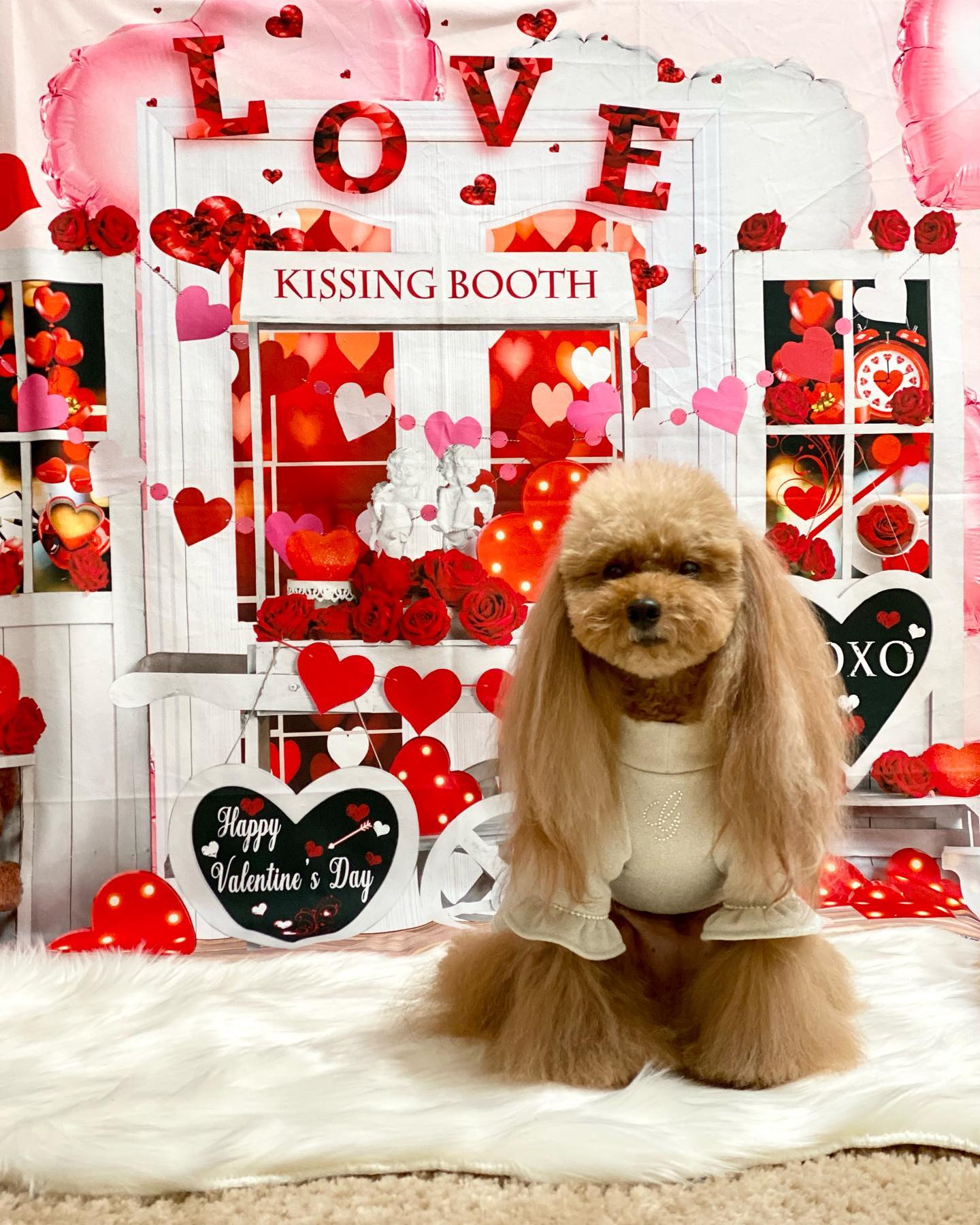 Kate バレンタインデー愛のトロリーの背景  Emetselch設計