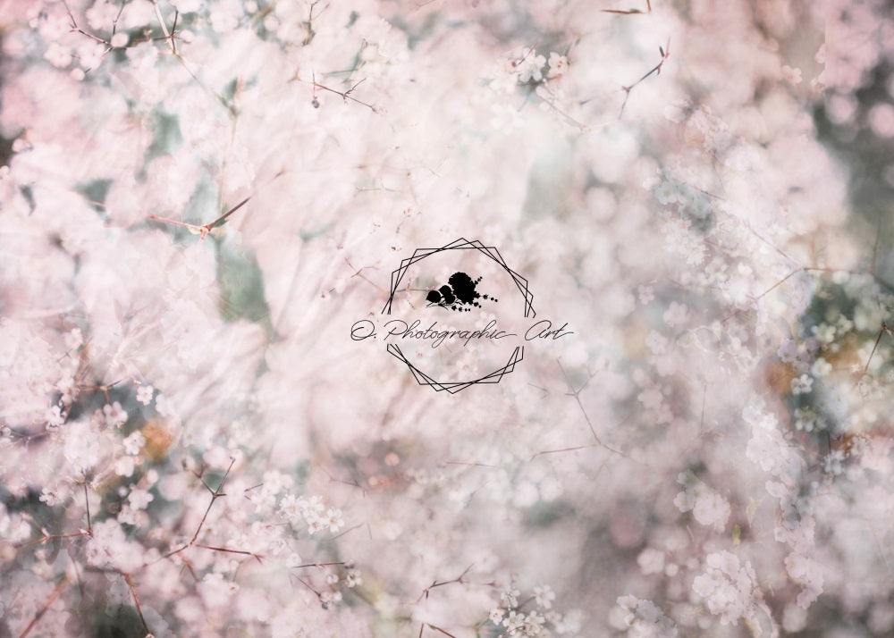Kate 写真撮影のための赤ちゃんの息の背景 Jenna Onyia 設計
