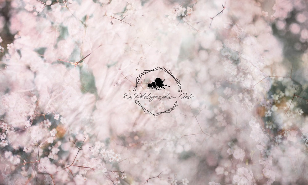Kate 写真撮影のための赤ちゃんの息の背景 Jenna Onyia 設計