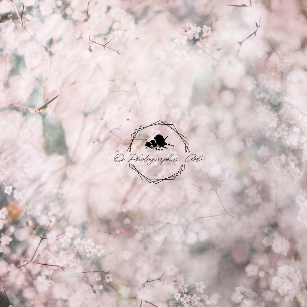 Kate 写真撮影のための赤ちゃんの息の背景 Jenna Onyia 設計